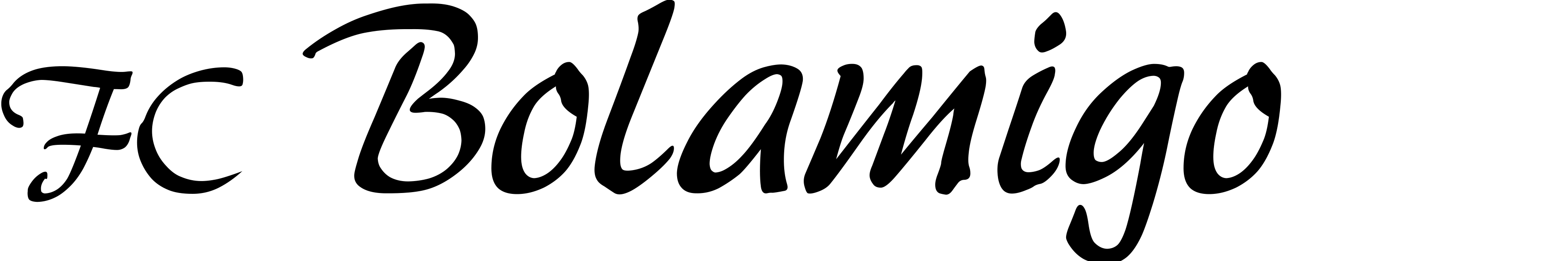 Bolamigo
